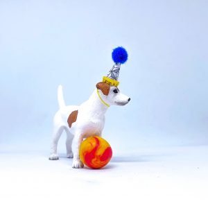 Jack Russell Terrier Dog