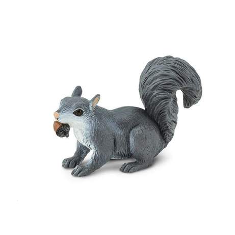 gray-squirrel-491339_461x461