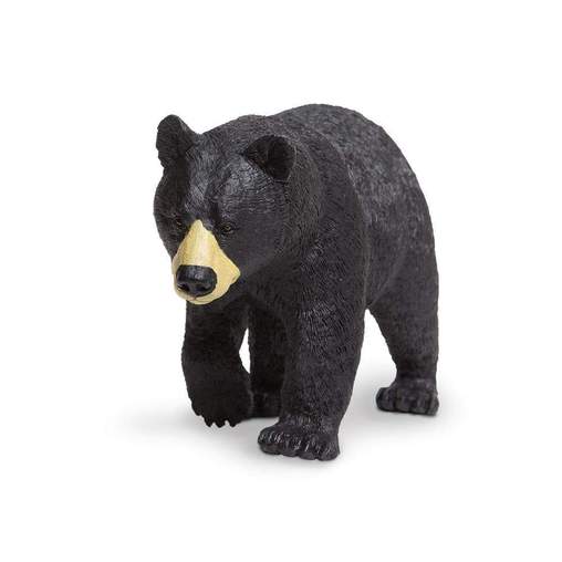 black-bear-241938_508x508