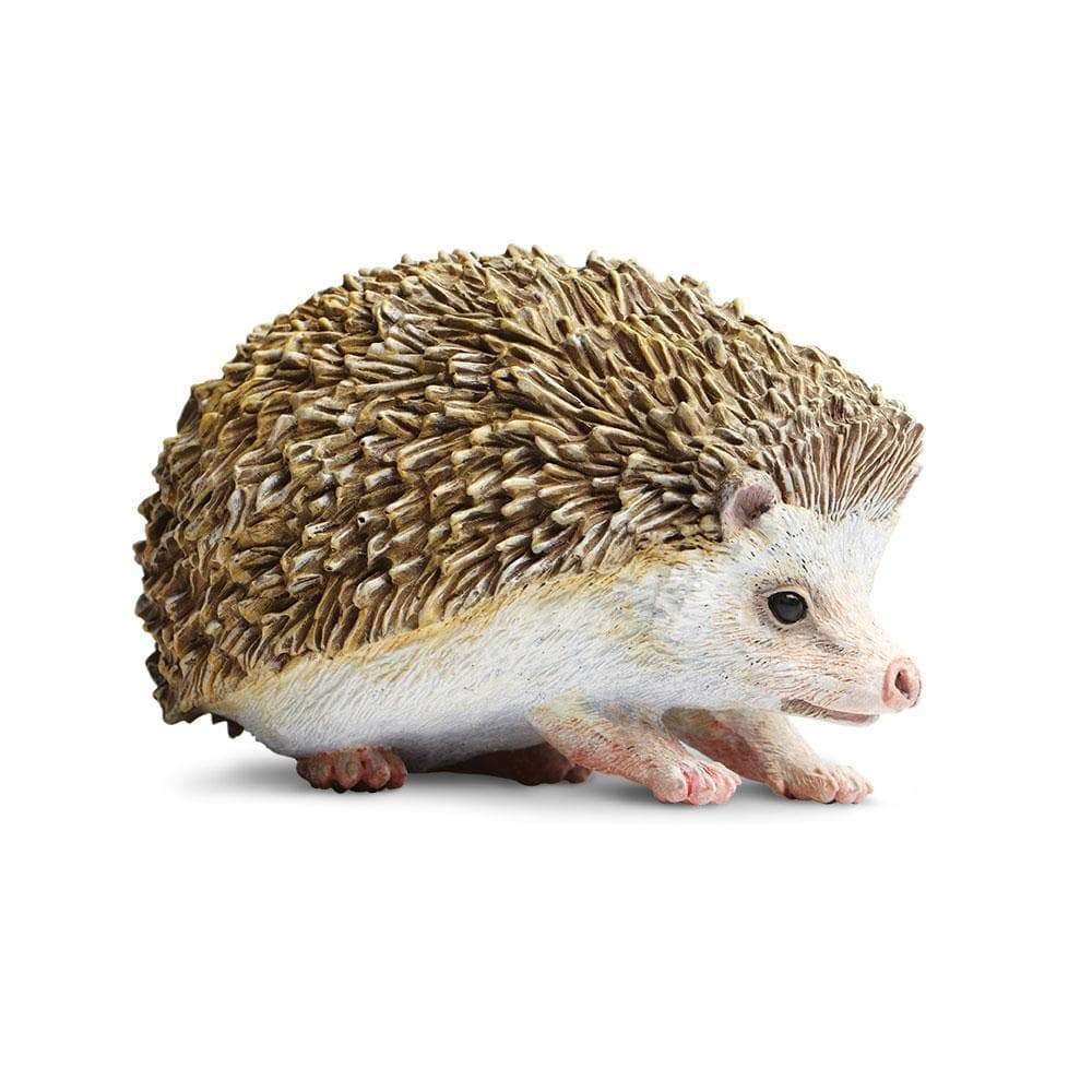 hedgehog-224464_1000x1000