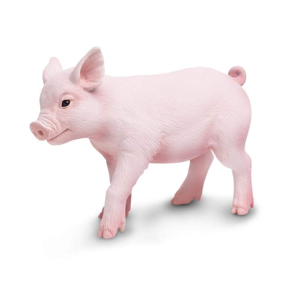 piglet-414015_1000x1000