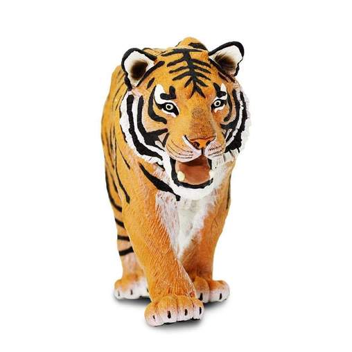 siberian-tiger-549584_508x508