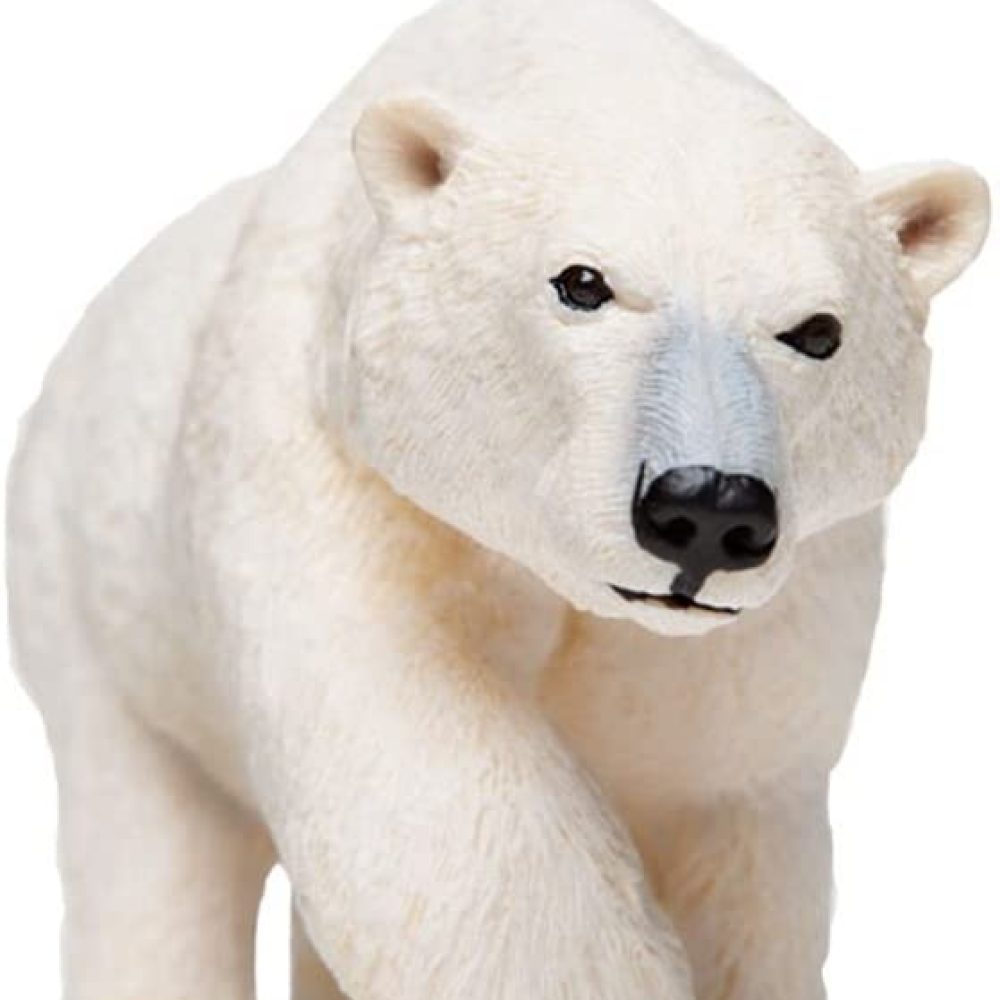 51cFiQp+ndL._AC_SL800_