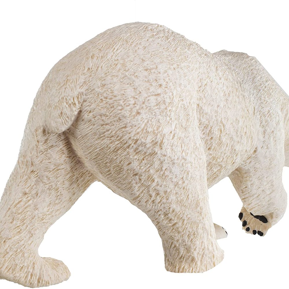 81pJxe8cbNL._AC_SL1500_