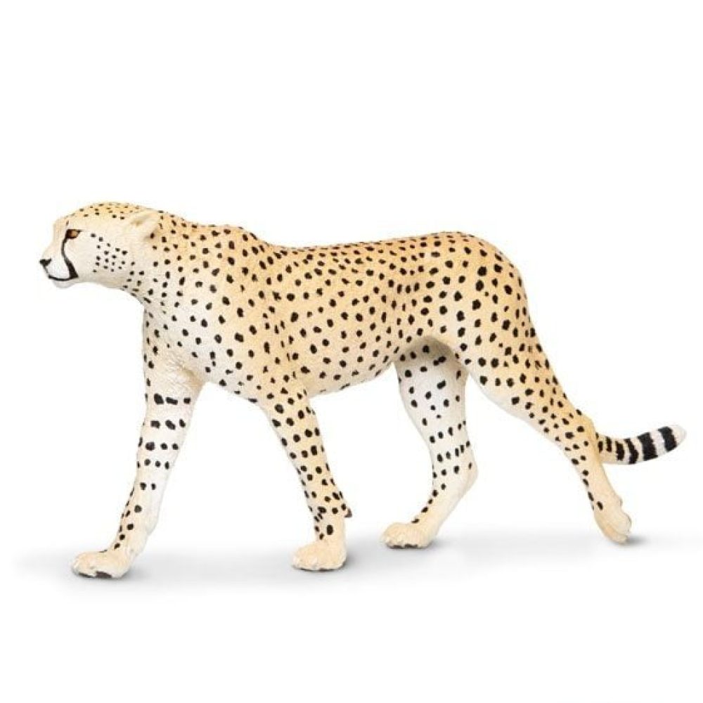 Gepard