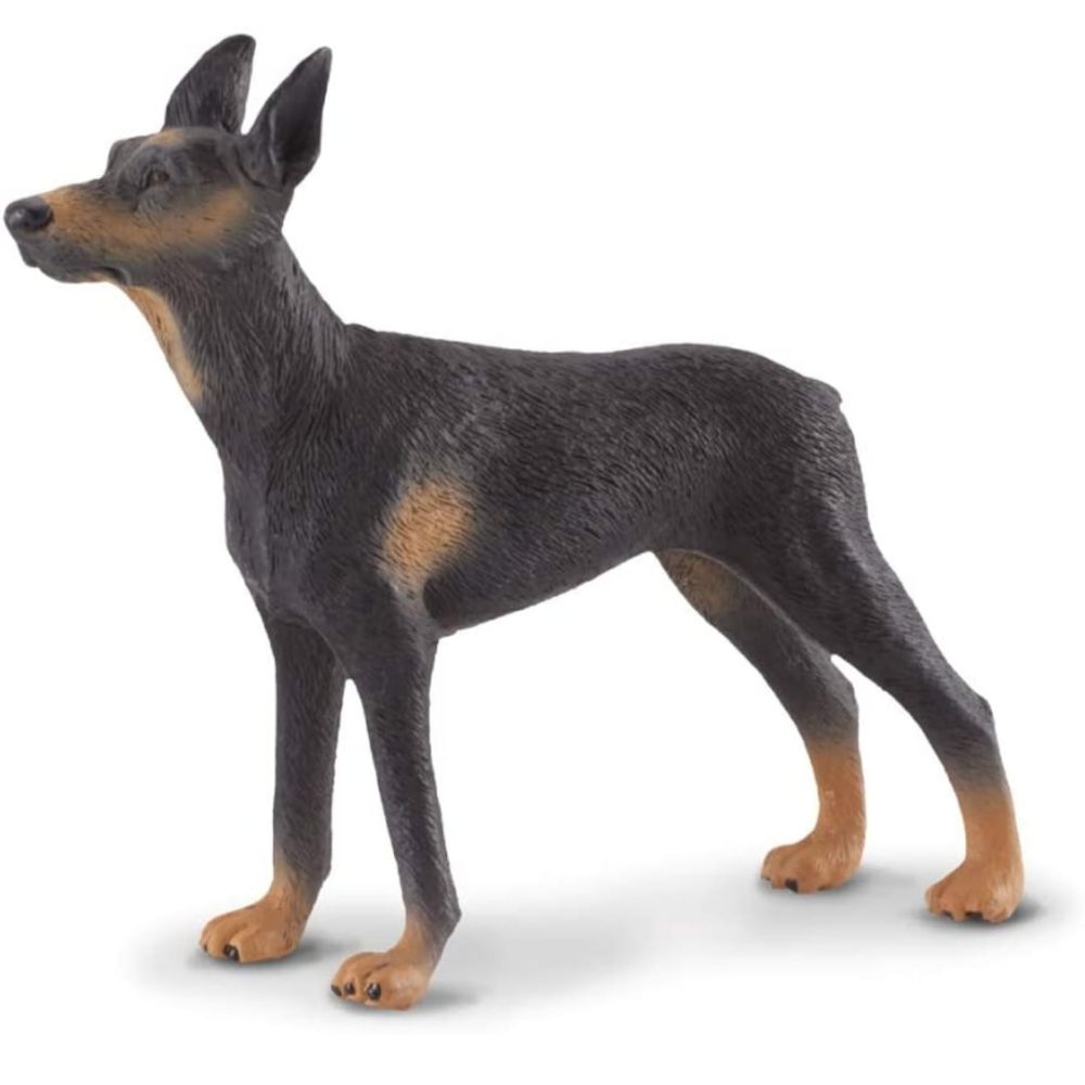 Screenshot_20220524-115013_Amazon Shopping