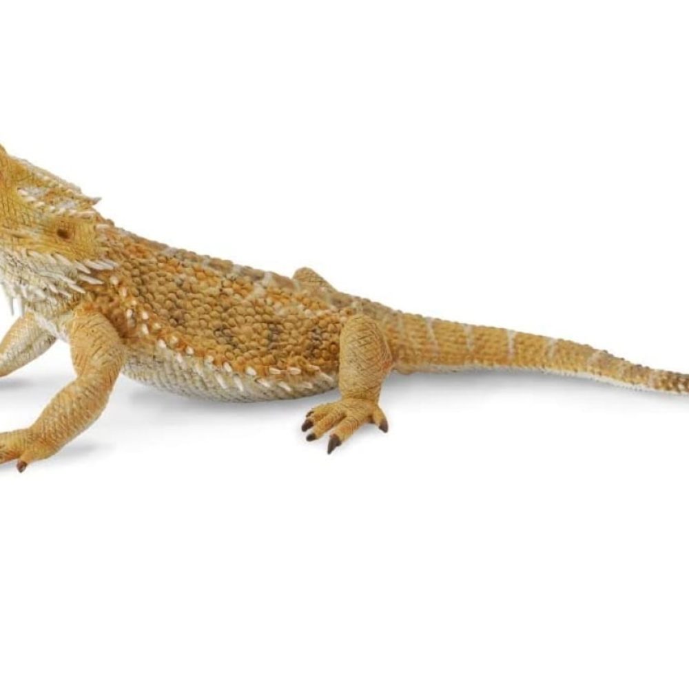 Screenshot_20230710_155747_Amazon Shopping