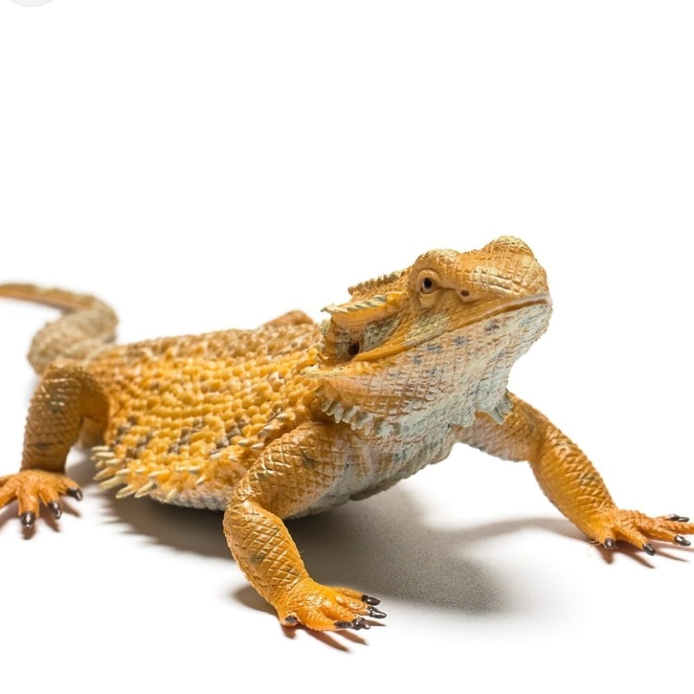 Screenshot_20230710_235604_Samsung Internet