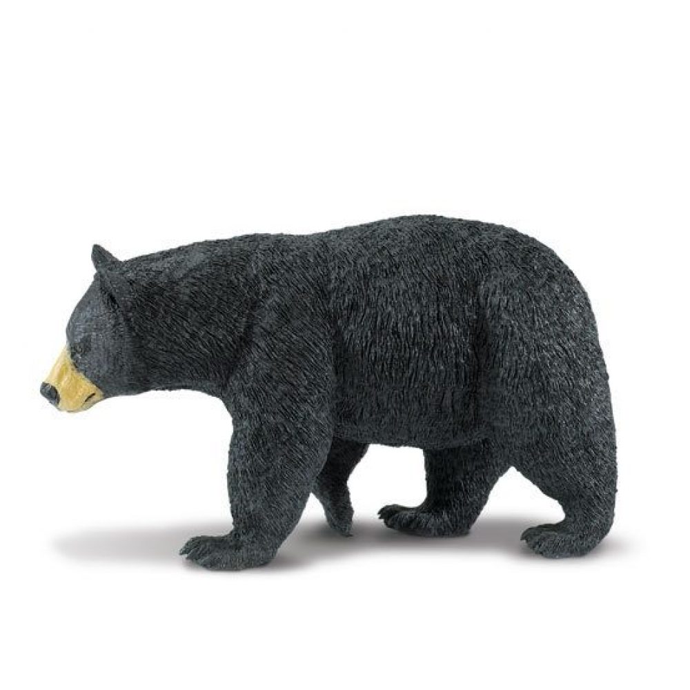 baer