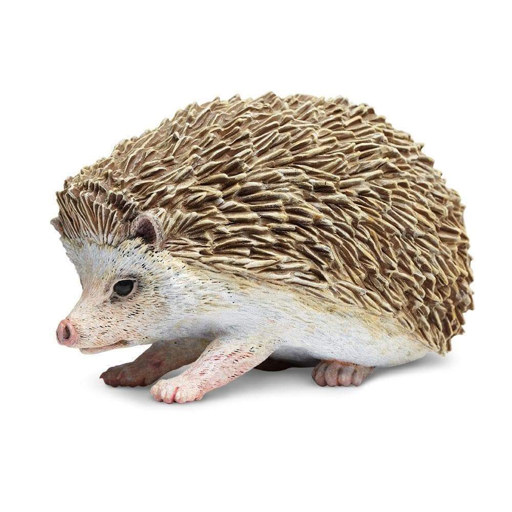 hedgehog-430100_1000x1000