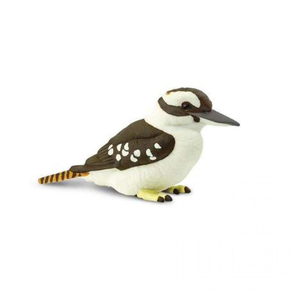 kookaburra-402510_461x461