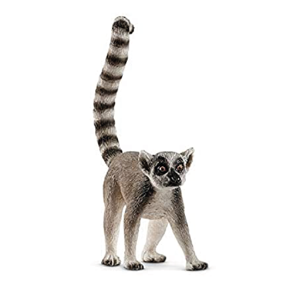 ring tailed lemur