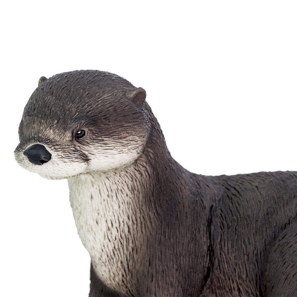 river-otter-585596_1000x1000